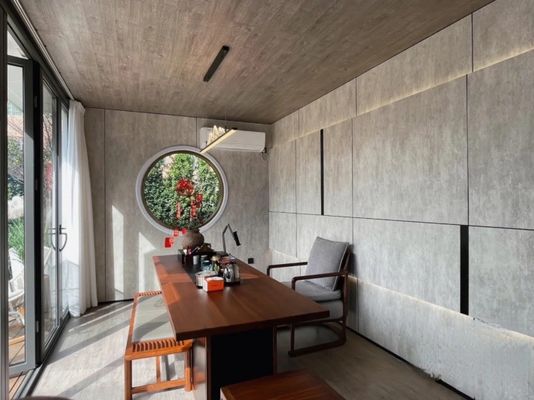 Contemporary Design Draagbare Flat Pack Living Container met aangepaste kleuropties